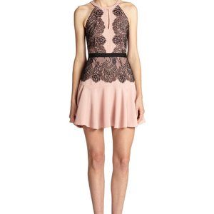 BCBG Maxazria Leyla Halter Lace Contrast Dress